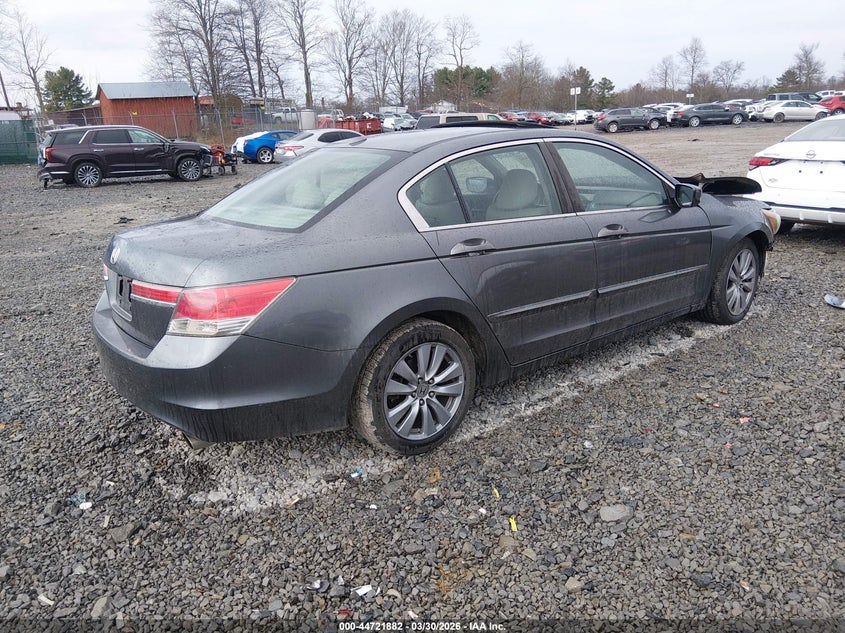 2011 Honda Accord 2.4 Ex-L