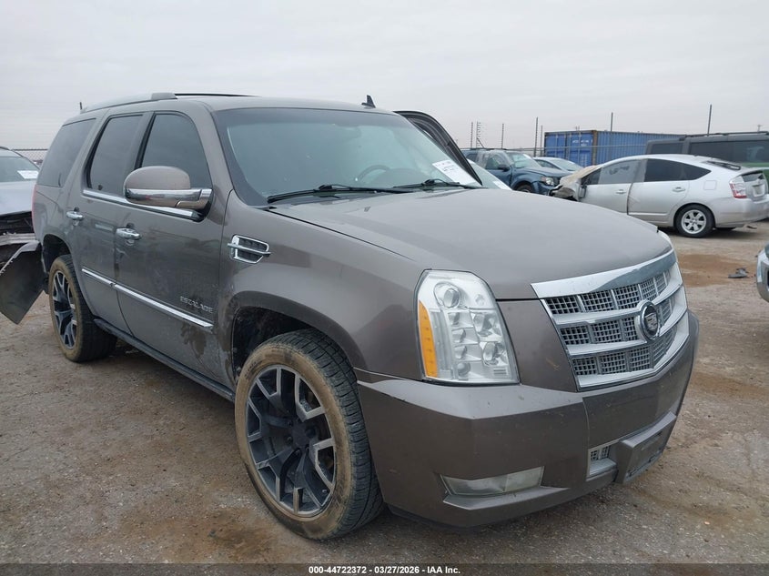2011 Cadillac Escalade Platinum Edition