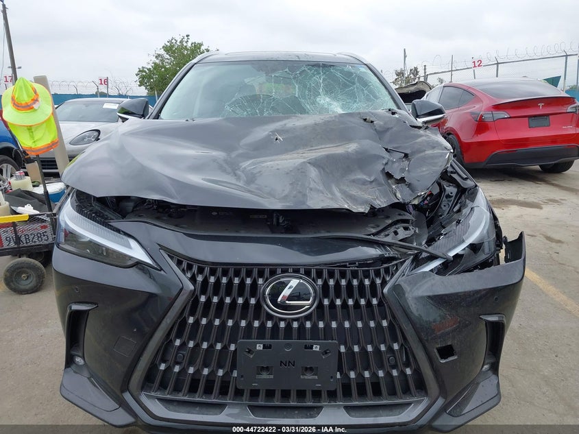 LEXUS NX 250 - zdjęcie 12