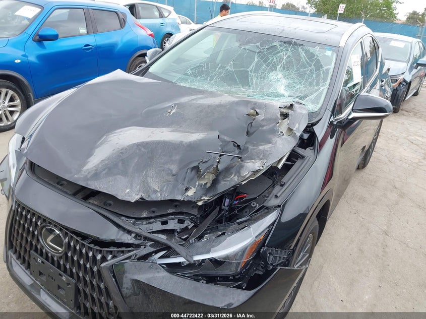 LEXUS NX 250 - zdjęcie 6