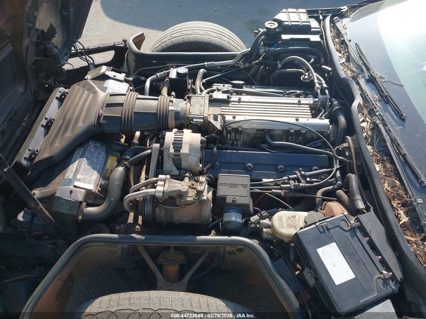 1993 Chevrolet Corvette VIN: 1G1YY23P2P5105340 Lot: 44723648