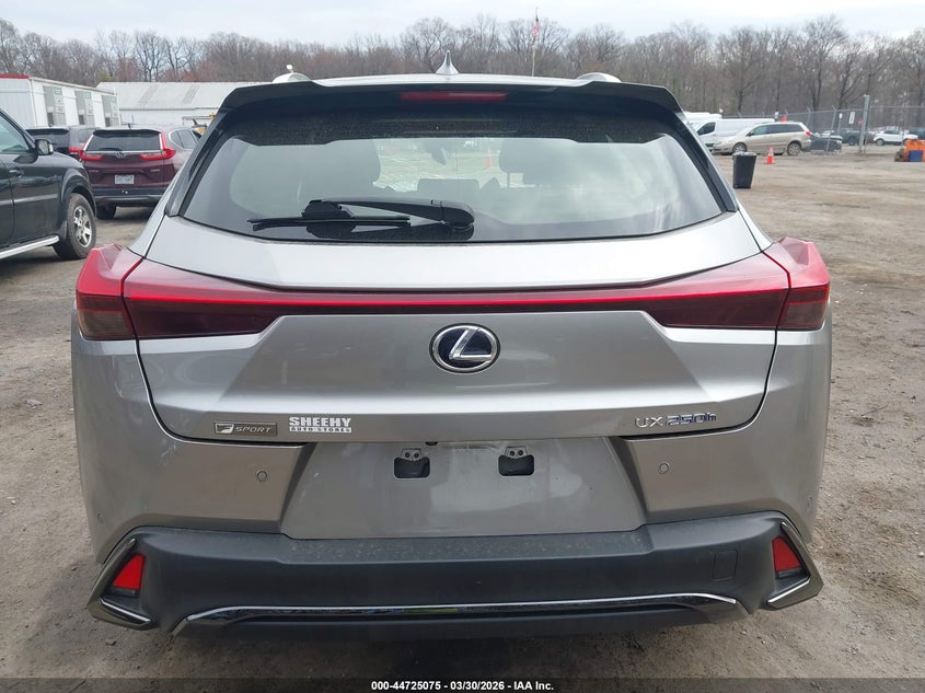 2019 Lexus Ux 250H F Sport VIN: JTHU9JBH4K2000492 Lot: 44725075