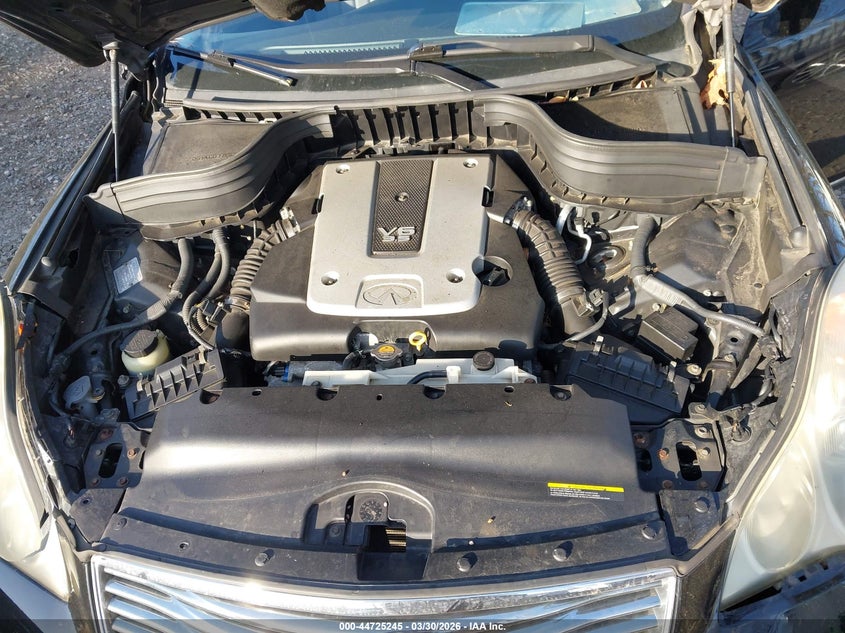 2009 Infiniti Ex35 VIN: JNKAJ09F39M951774 Lot: 44725245