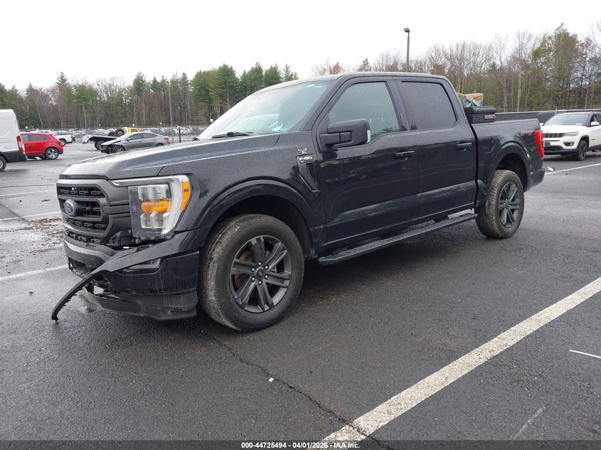 2023 Ford F-150 Xlt