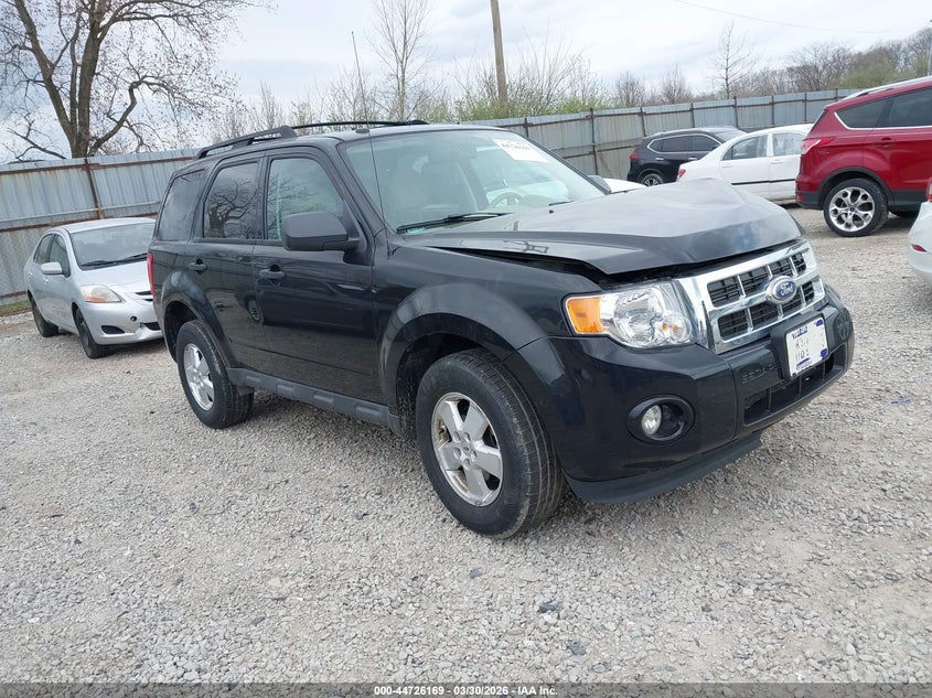 2011 Ford Escape Xlt