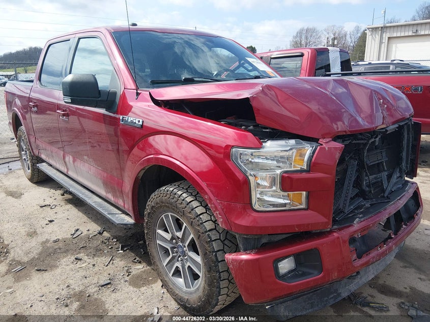 Vin: 1ftew1ef3gfb09700, lot: 45223482, ford f-150 xlt 2016 img_1