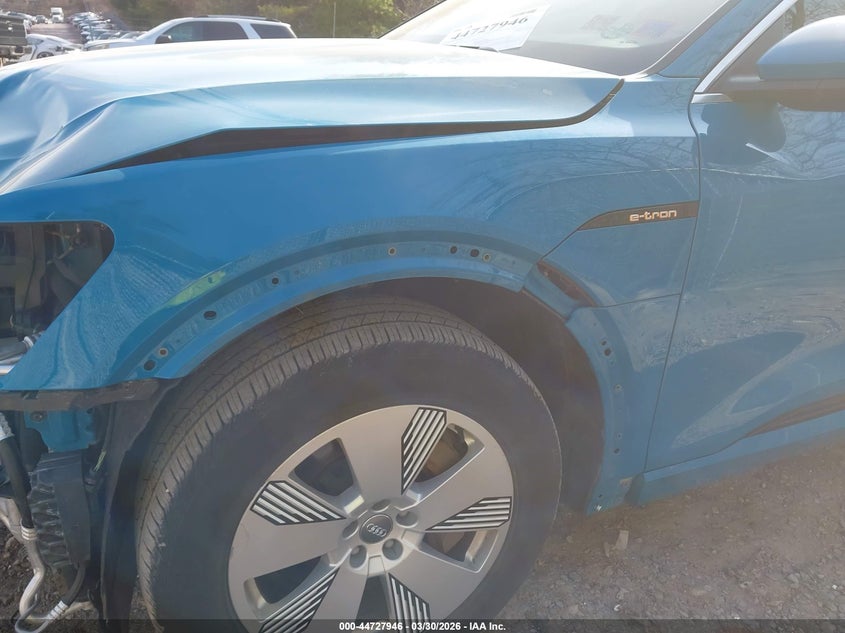 2019 Audi E-Tron Premium Plus VIN: WA1LAAGE6KB013466 Lot: 44727946