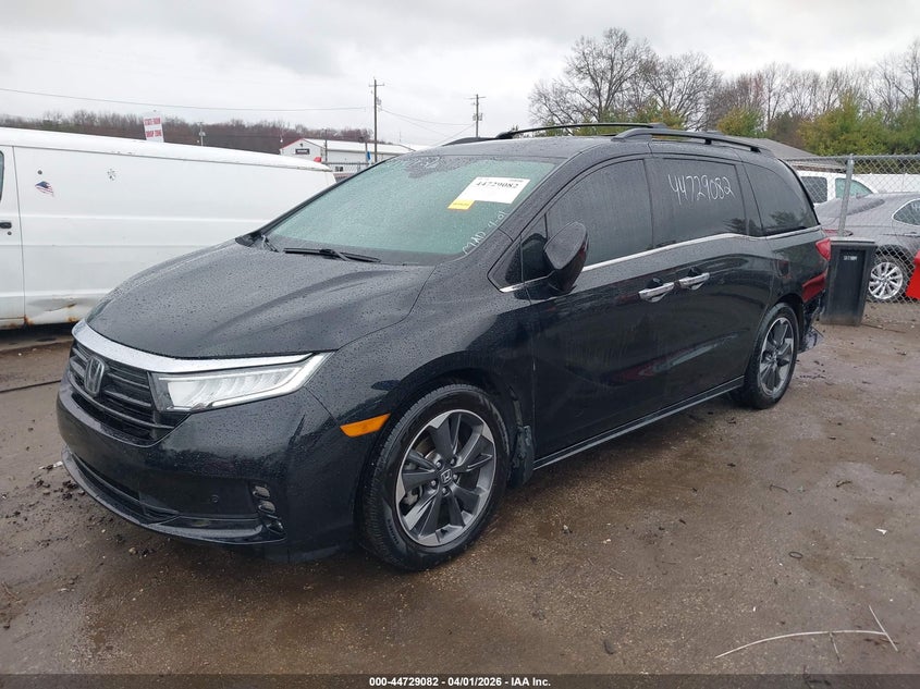 2022 Honda Odyssey Elite
