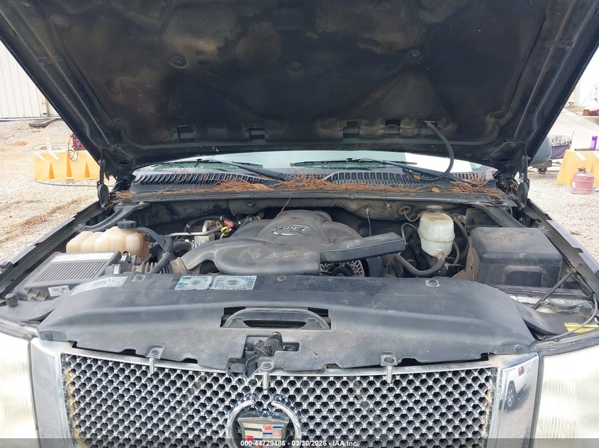 2005 Cadillac Escalade Standard VIN: 1GYEK63N65R204390 Lot: 44729486