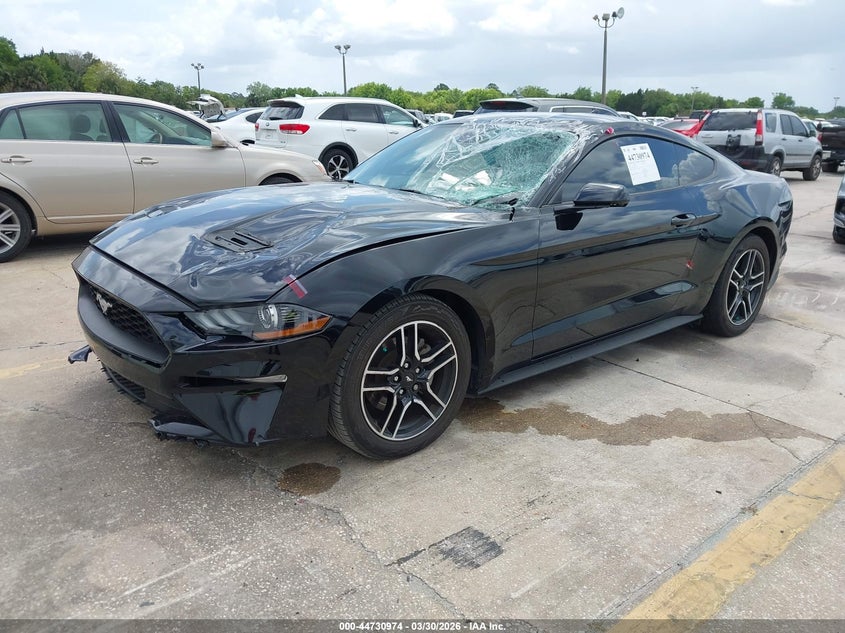 2022 Ford Mustang Ecoboost Fastback