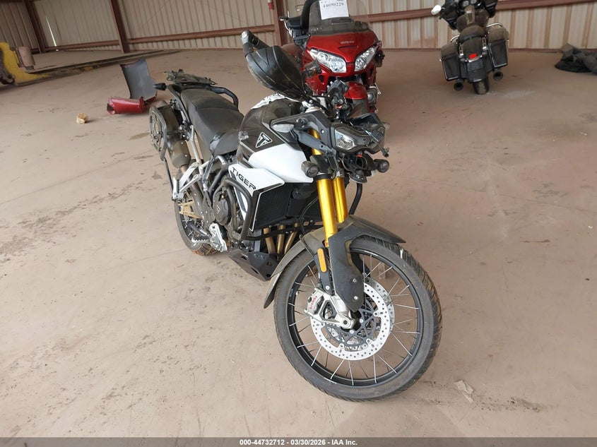 2025 Triumph Motorcycle Tiger 900 Rally Pro