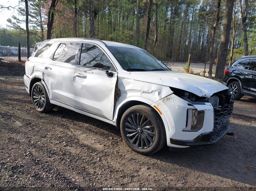 2025 HYUNDAI PALISADE CALLIGRAPHY NIGHT EDITION