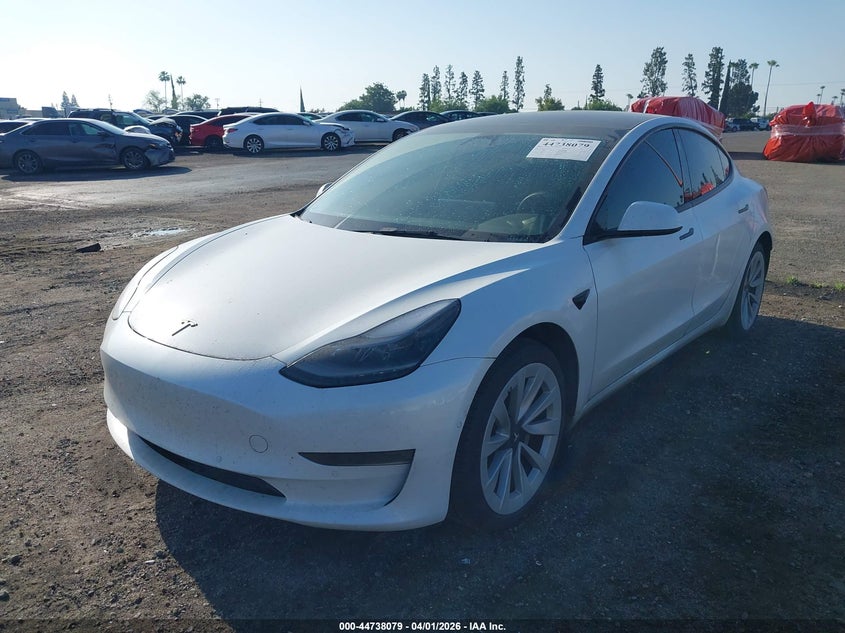 2022 Tesla Model 3 Rear-Wheel Drive
