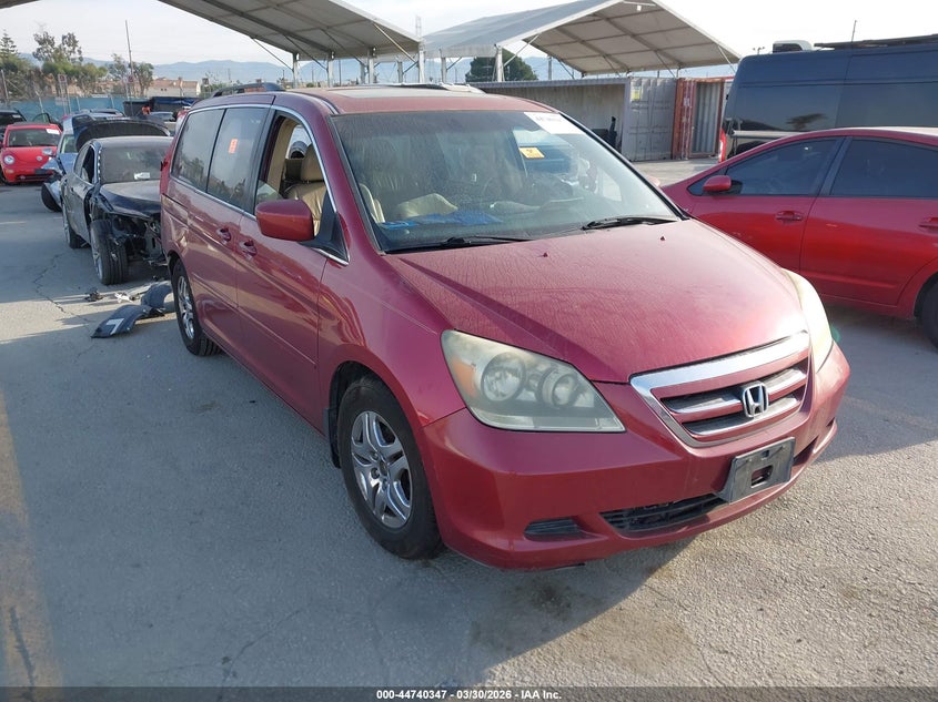 5FNRL38665B039094 2005 Honda Odyssey Ex-L auction photo 1