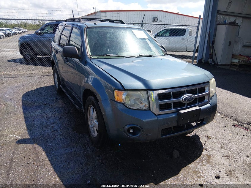 2011 Ford Escape Xlt