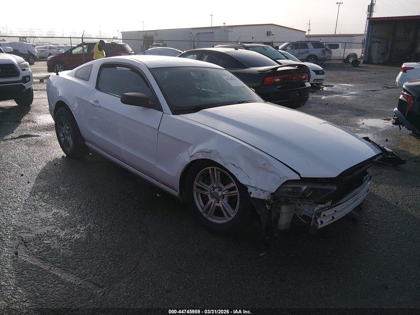 2014 FORD MUSTANG V6