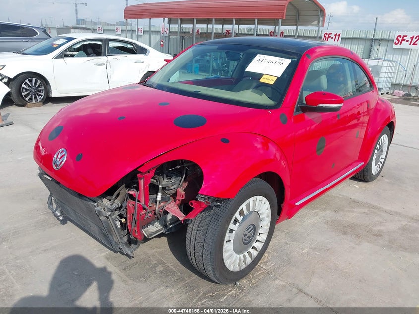AtlanticExpress - Volkswagen Beetle