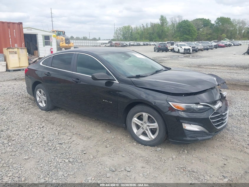 2019 CHEVROLET MALIBU 1LS