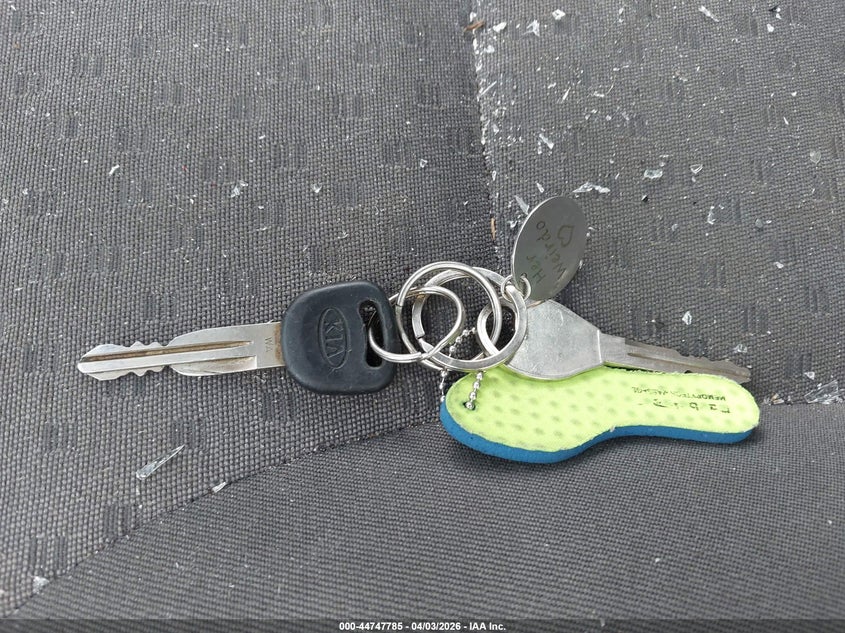 2004 Kia Rio Cinco VIN: KNADC165446202499 Lot: 44747785