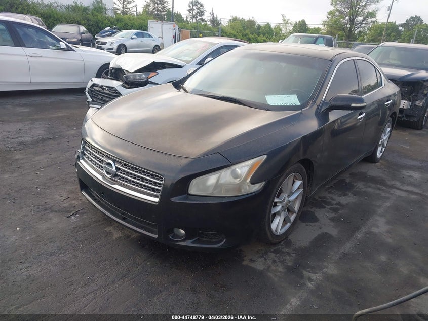 2010 Nissan Maxima 3.5 Sv 1N4AA5AP6AC860680 photo 1