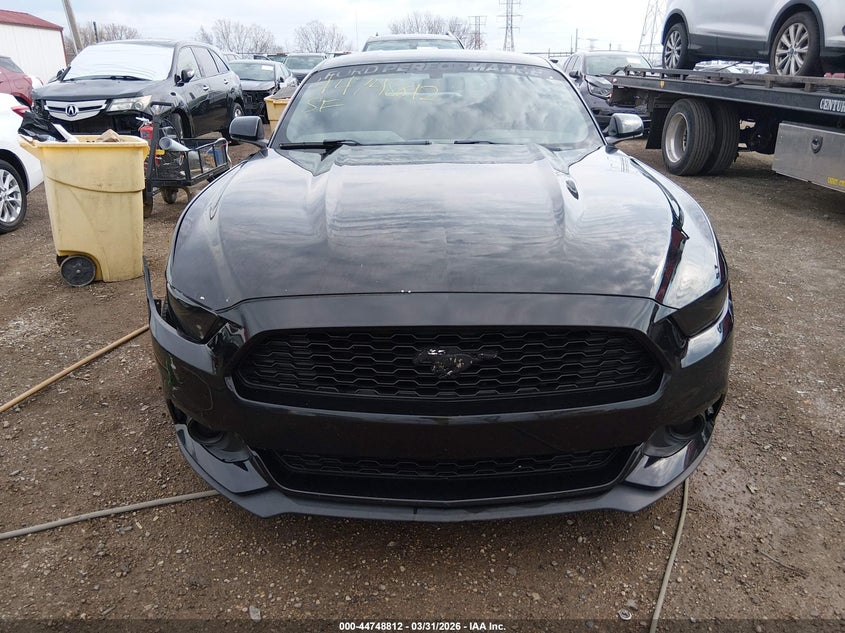 AtlanticExpress - Ford Mustang