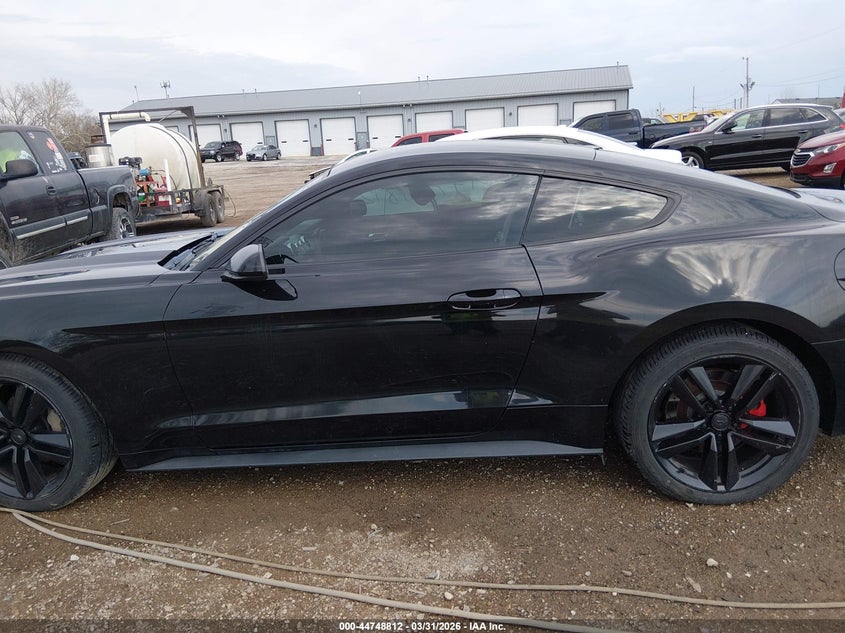 AtlanticExpress - Ford Mustang