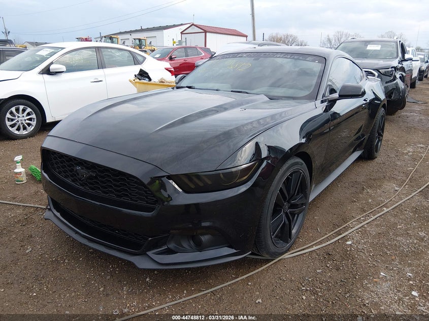 AtlanticExpress - Ford Mustang