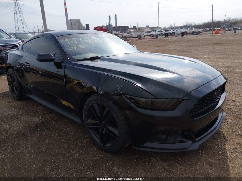 AtlanticExpress - Ford Mustang
