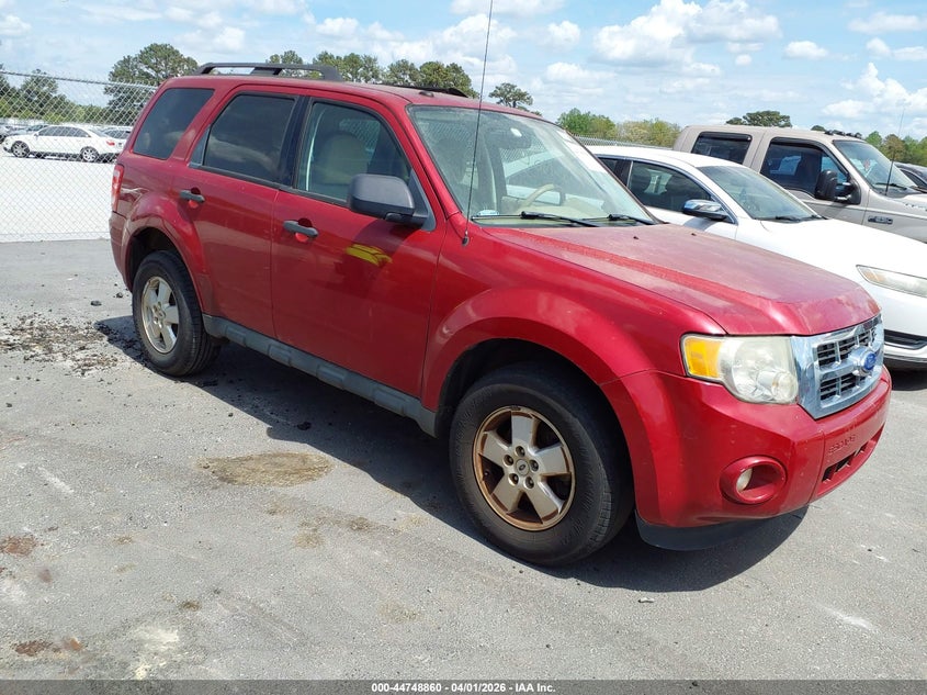 2011 Ford Escape Xlt