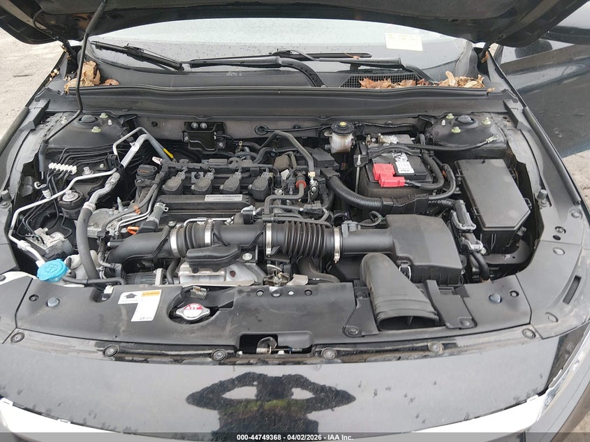 VIN 01HGCV1F1XKA17538 2019 HONDA ACCORD LX