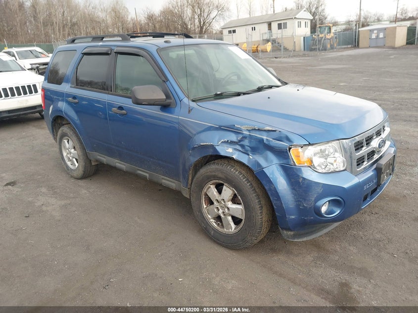 2010 Ford Escape Xlt