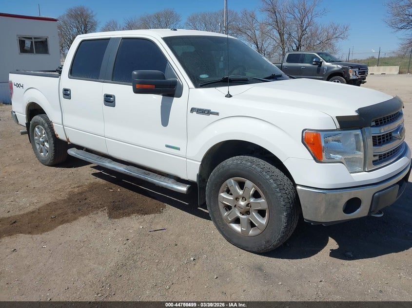 2013 FORD F-150 XLT