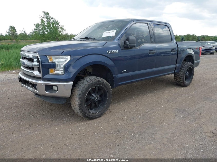 Vin: 1ftew1eg4ffb07462, lot: 45248127, ford f-150 xlt 20152