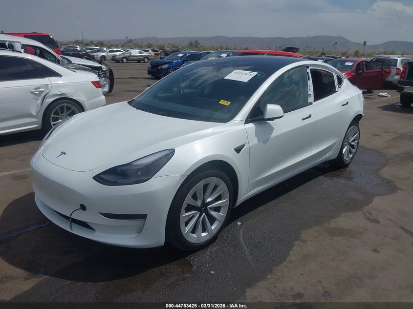 2023 Tesla Model 3 Rear-Wheel Drive