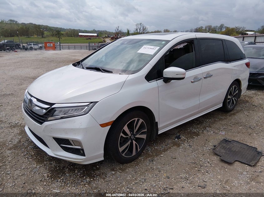 2020 Honda Odyssey Elite