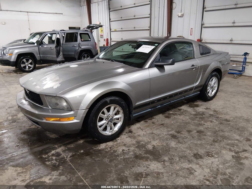 2008 Ford Mustang V6 Deluxe/V6 Premium