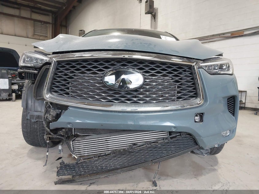 VIN 3PCAJ5DBXRF102401 2024 INFINITI QX50 AUTOGRAPH AWD