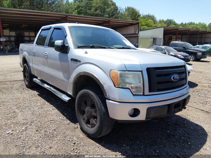 2010 Ford F-150 Fx4/Harley-Davidson/King Ranch/Lariat/Platinum/Xl/Xlt
