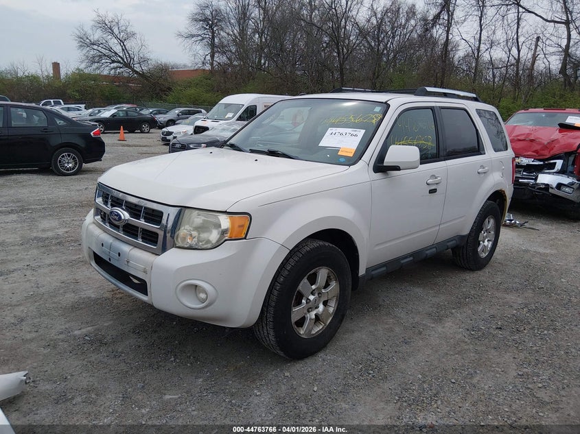 2011 Ford Escape Limited