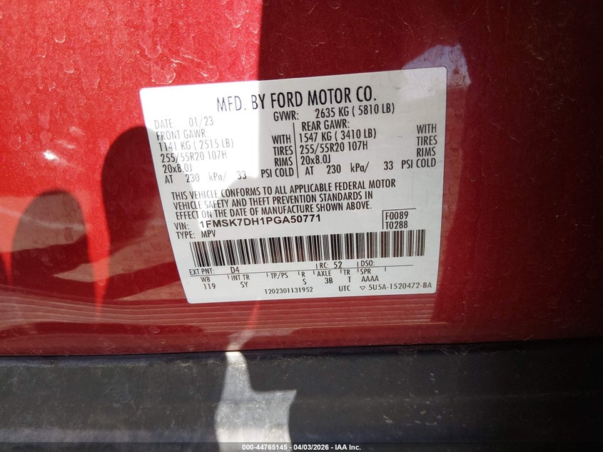 Nuotrauka 9