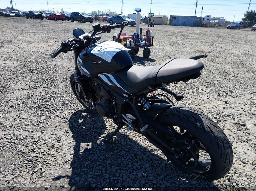 2025 Triumph Motorcycle Trident 660