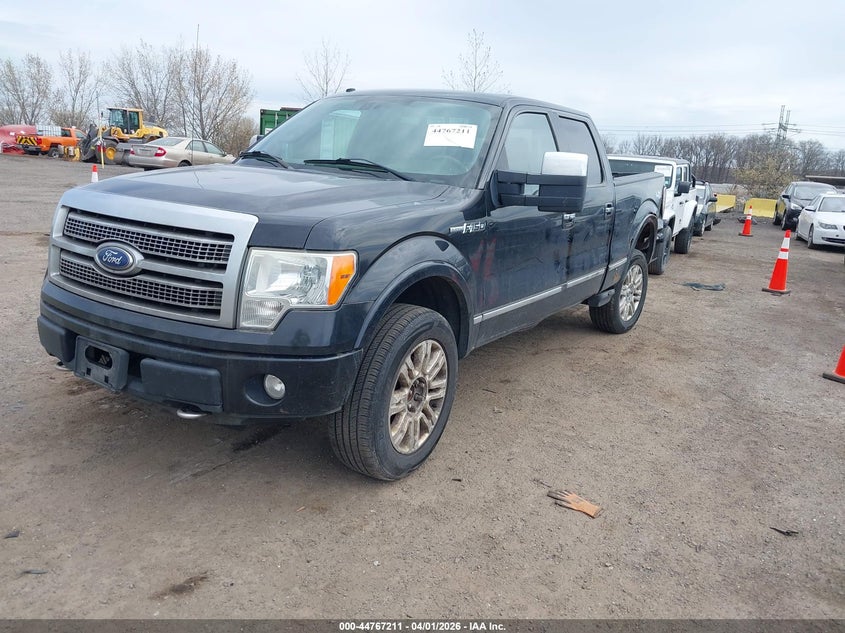 2010 Ford F-150 Fx4/Harley-Davidson/King Ranch/Lariat/Platinum/Xl/Xlt