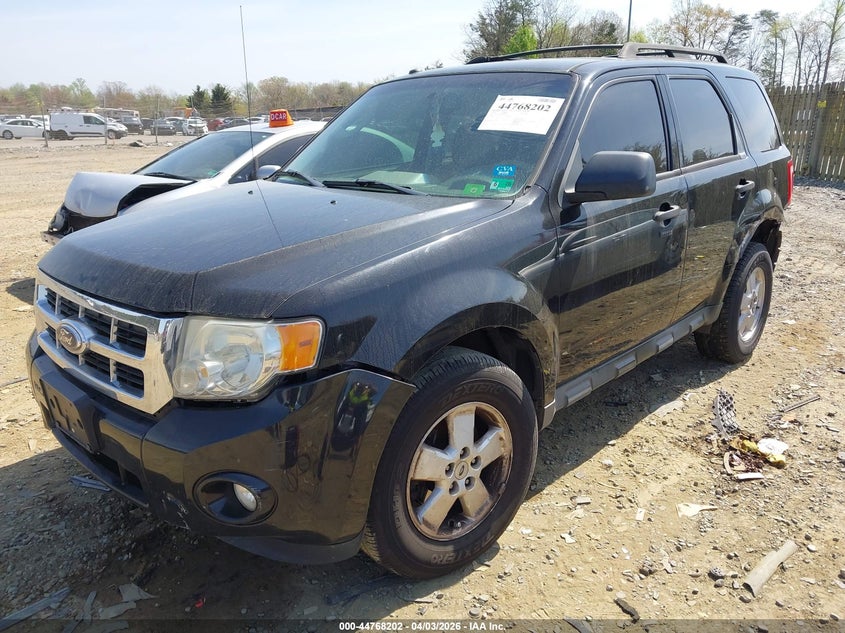 2011 Ford Escape Xlt