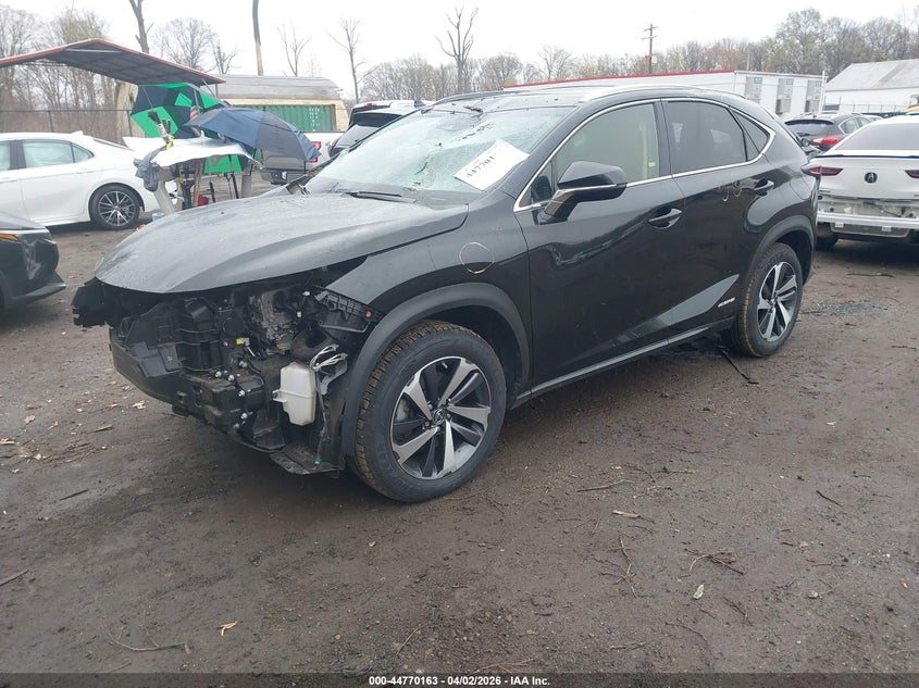 2019 Lexus Nx 300H