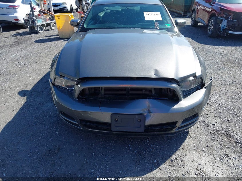 FORD MUSTANG 2014 VIN 1ZVBP8AM0E5277372