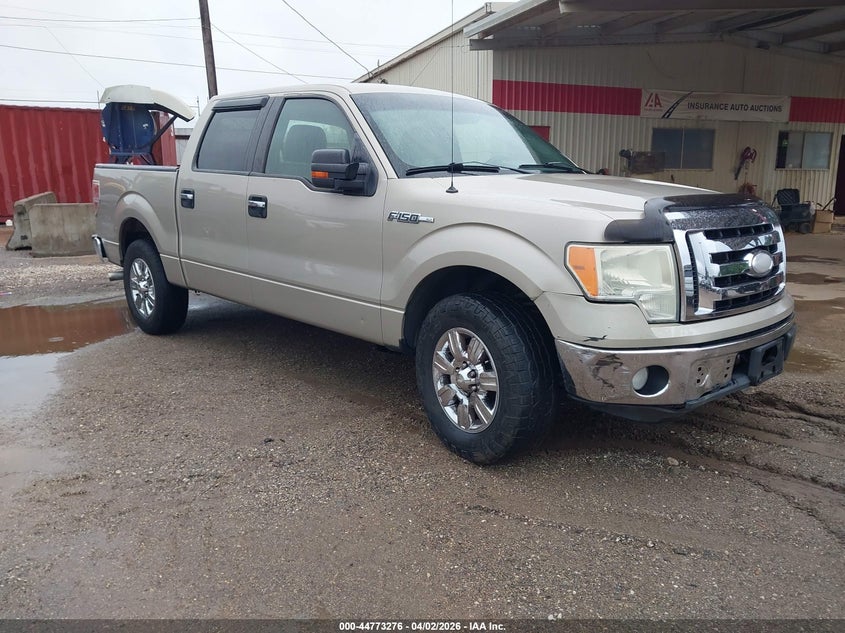 2009 Ford F-150 Xlt