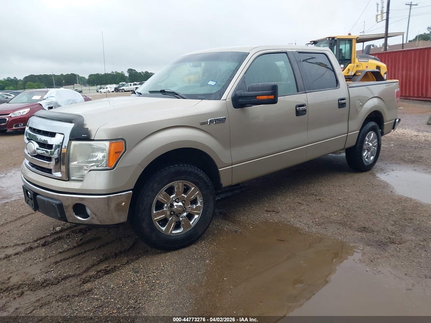 2009 Ford F-150 Xlt