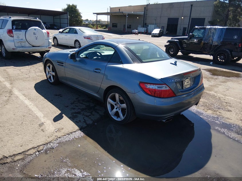 2013 Mercedes-Benz Slk 250