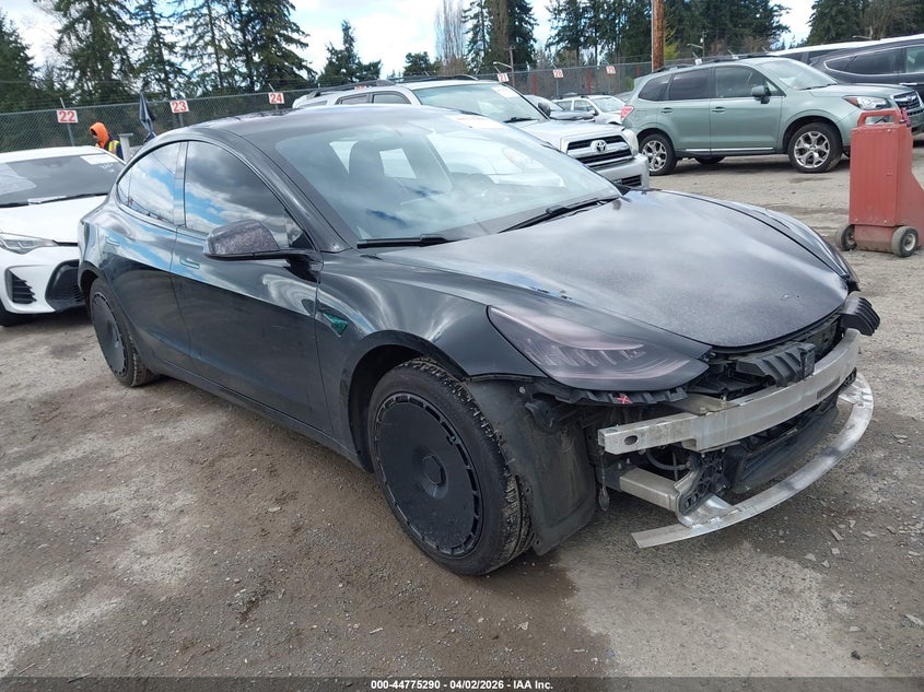 2019 Tesla Model 3 Long Range/Mid Range/Standard Range/Standard Range Plus