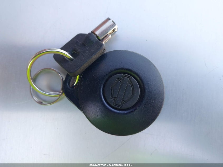 2003 Harley-Davidson Fxdl VIN: 1HD1GDV373K325164 Lot: 44777500